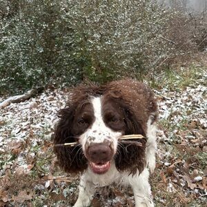 Meet your Posher, Chloe